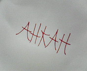 200710062107000.jpg
