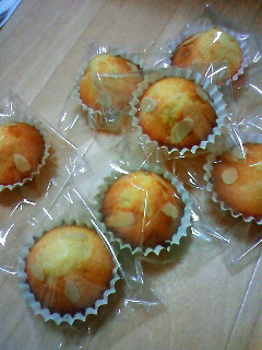 201101070100000.jpg