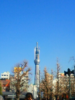 201101221453000.jpg