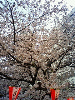 201004031707000.jpg