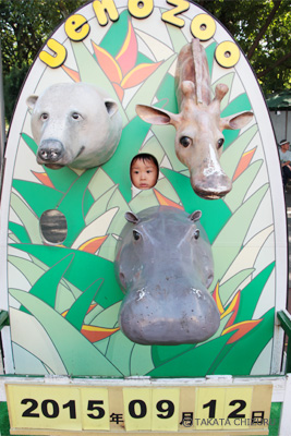 イクケンやまとの子育て奮闘記 - 動物写真家 高田千鶴の愛犬日記