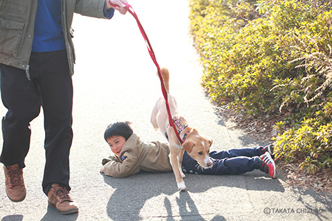 保護犬のんちゃんとの生活