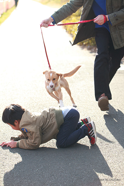 保護犬のんちゃんとの生活