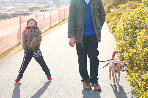 保護犬のんちゃんとの生活