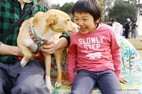 保護犬のんちゃんとの生活 愛犬と一緒の子育て