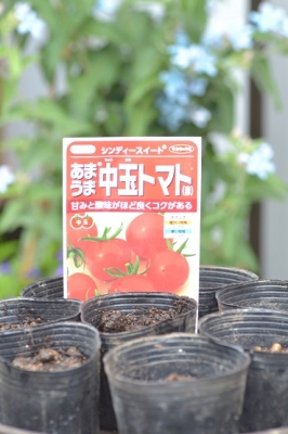 5月13日 (6).JPG