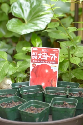 5月13日 (11).JPG