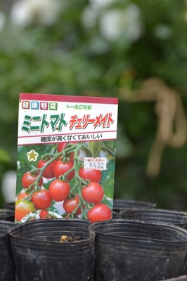 5月13日 (13).JPG