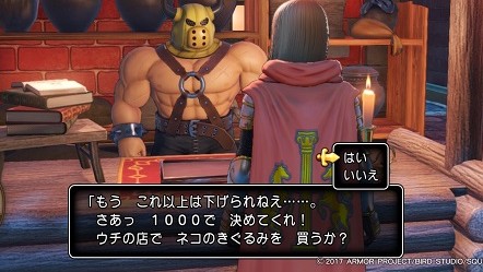 Dq11 Nana S Weblog