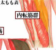 内転筋