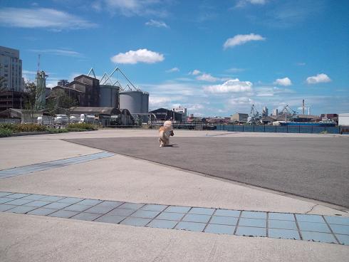 20120806_142880.jpg