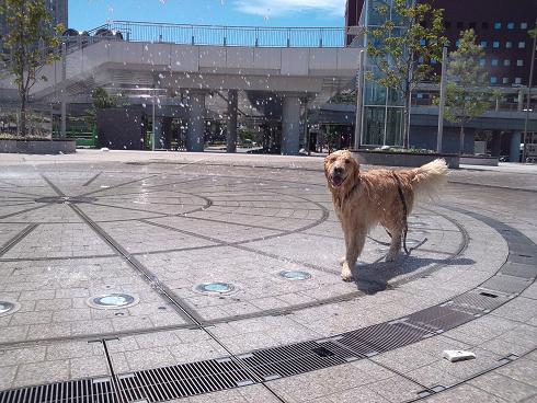 20120806_142877.jpg