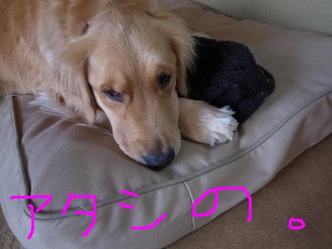 あたしの.JPG