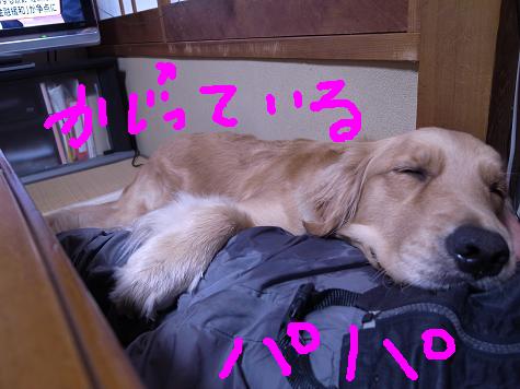 パパと.JPG