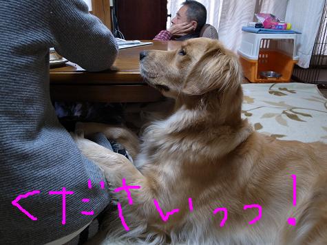 下さい.JPG