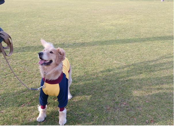 サッカー選手2.JPG