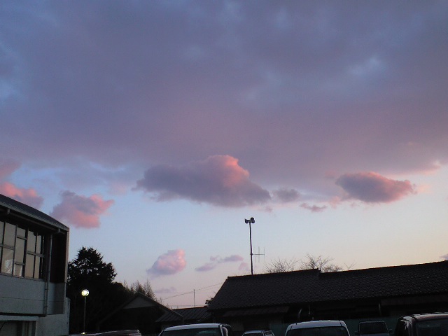 CA391264.JPG