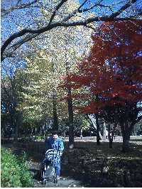 公園で