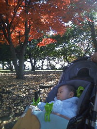 公園で