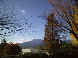 公園で
