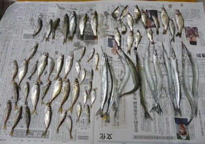 芦屋浜2010年7月25日