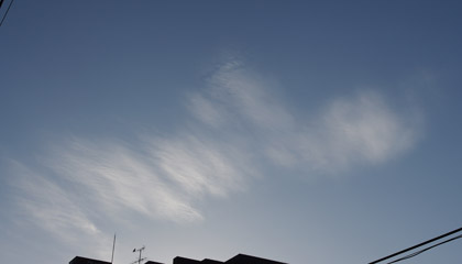 kumo100209