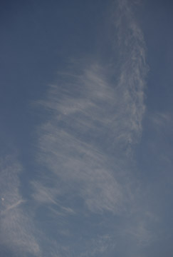 kumo100225