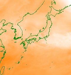 MSMプロット