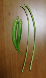 iPhoneImage.png