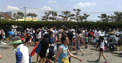 三番瀬 潮干狩り