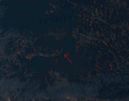 ひまわりから見る H-IIA F30 打ち上げ 夜光雲