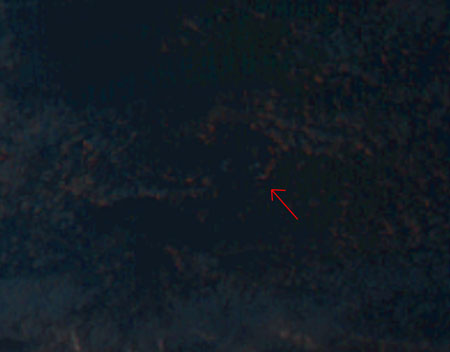 ひまわりから見る H-IIA F30 打ち上げ 夜光雲