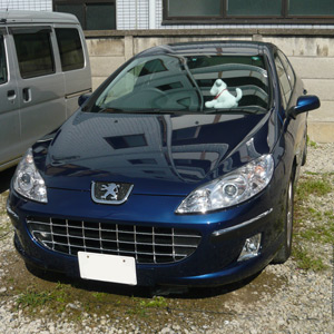 Peugeot,407,プジョー,フロントグリル