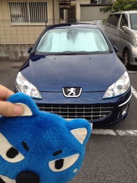 Peugeot,プジョー,407