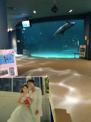 16 03 01 社長の日記 水族館での結婚式二次会に出席するおはなし 鈴木紙工所blog