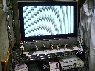 縦じまが・・・