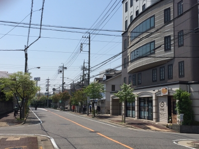はなみずき
