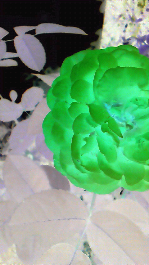 200909100804000.jpg