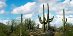 Phoenix-Arizona.jpg
