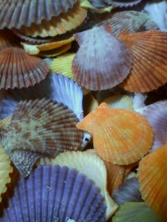 101109_0011~0001.jpg