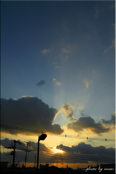 Canon EOS 5DmarkII