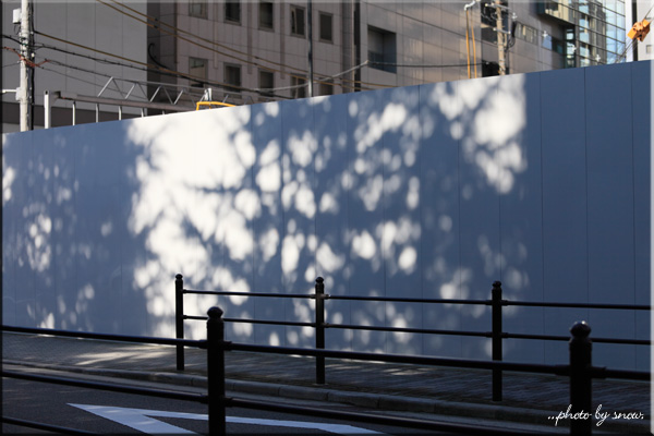 Canon EOS 5DmarkII