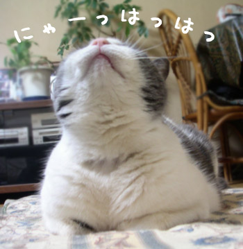 にゃーっはっはっ!