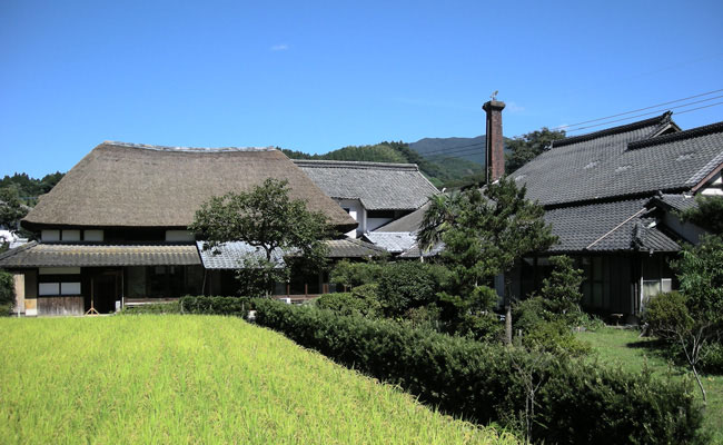 白水