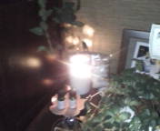 20090617192658.jpg