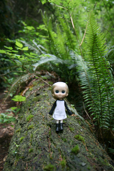 odeko_deepcove_7.jpg