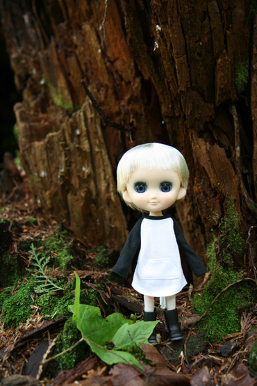 odeko_deepcove_1.jpg