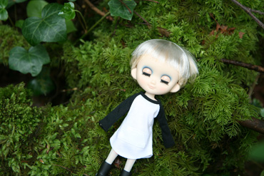 odeko_deepcove_2.jpg
