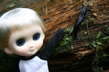 odeko_deepcove_4.jpg