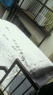 2011030715230000.jpg